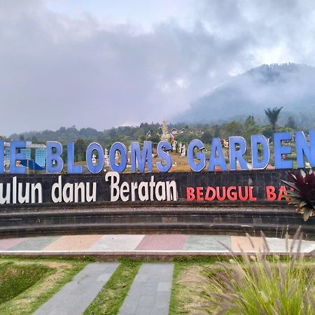Kaia Lovina Guest House Bagian luar foto